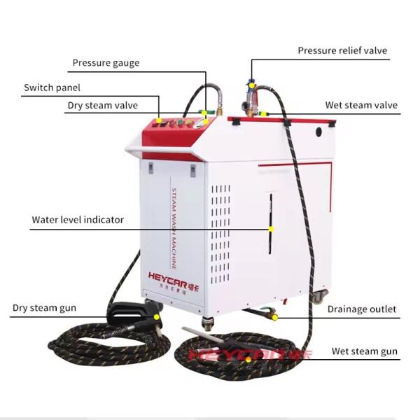 220v 380v Customized 16L Stainless Steel Tank Steam Carpet Cleaner Household