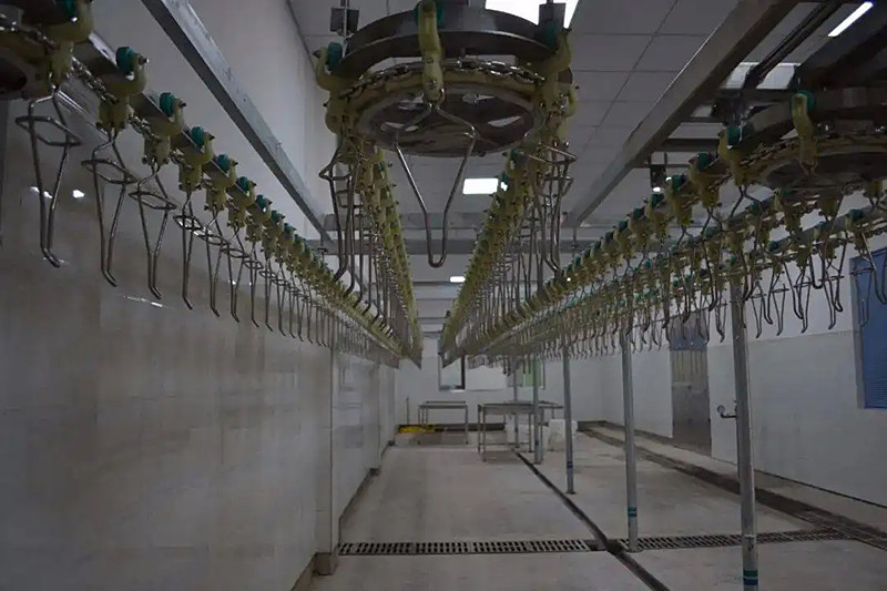 500BPH Automatic Poultry Slaughtering Equipment Chicken Slaughter Line 304