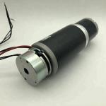 Custom12v 24v 36v 48v High Torque DC Gear Motor Brushed or Brushless 50 watt 100