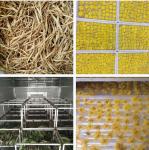 Flower Rose Cherry Chrysanthemum Tea Leaf Dryer Heat Pump Dehydration Spice