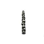 028109101D Engine Parts Camshaft for AUDI 80, VW GOL, SEAT CORDOBA (6K1, 6K2),
