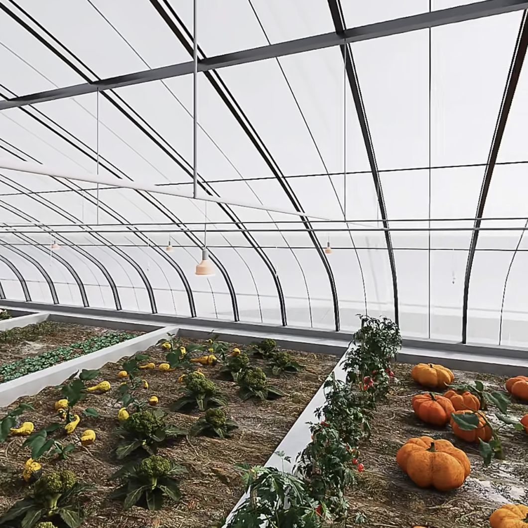 Flower Planting Drip Irrigation Vegetable Sunlight Greenhouse