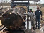 Horizontal Cutting Chainsaw Sawmill 2m Width Portable Chain Saw Mill