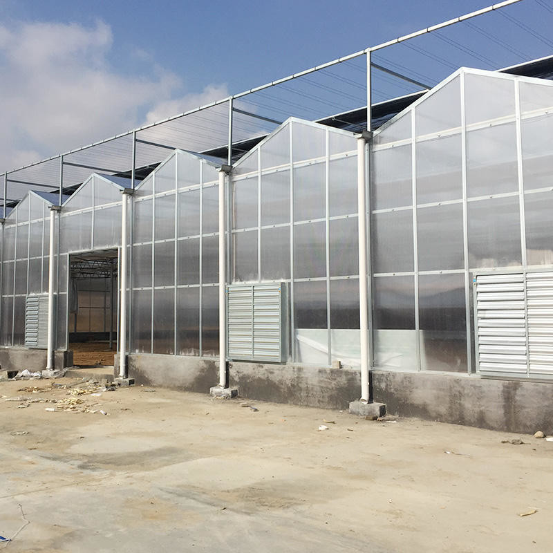 Multi-span Industrial Polycarbonate PC Sheet Tomato Fruit Hydroponic Greenhouse
