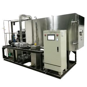Quality Yogurt Strawberry Jackfruit Vacuum Freeze Dryer PLC Potato Chips Drying Machine wholesale