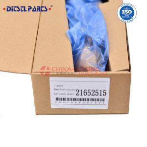 Quality Fuel Injector 225 0118 for Caterpillar C9 2004-2009 wholesale