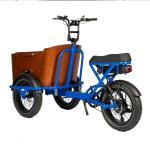 NO Foldable Three Wheel Cargo Tricycle E-bike for Family and Food Delivery