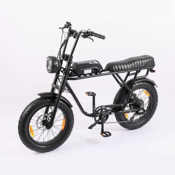 DOMANCA MT-01 Electric Hybrid Bike 20 inch Fat Tire 500w 750w 1000w 48V 16Ah