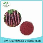 100% Natural Black Carrot Juice Powder