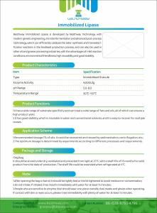 Quality Immobilized Lipase, Industrial Enzyme, Bioenergy Enzyme wholesale