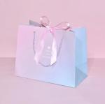 Spot Varnishing Ribbon Paper Bag Eco Friendly Recycled Paper Shopping Bags