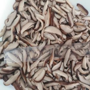 Quality Natural Color Canned Vegetables , Tinned Shiitake Mushroom Slice In Brine wholesale