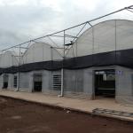 Galvanized Steel Frame Multi Span Agricultural Greenhouses Flower Vegetable