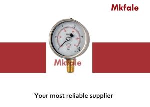 Quality Brass Connection Liquid Filled Pressure Gauge With Bayonet Case wholesale