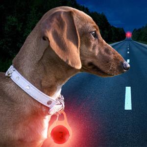 Quality White Blue Green Silicone Flashing Dog Collar Tag Floral Dog Identity Tags wholesale