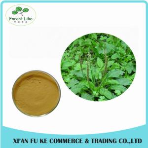 Quality Lowest Price Best Quality Plantain Extract for Skin and Cancer wholesale