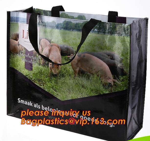 Fashion WaterProof PP Woven Laminated Handle Shopping Bag,fashion laminated reusable pp woven big shopping woven bag