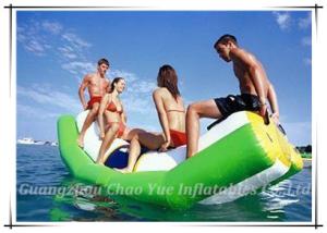 Quality Single Lane Inflatable Pillow Totter (CY-M2034) wholesale