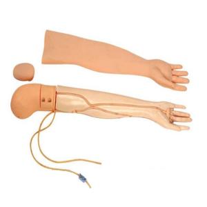 Quality Multifunctional PVC 4kgs Venipuncture Arm Simulator wholesale
