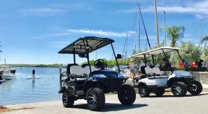 Quality 2 Seater Golf Buggy Golf E Car wholesale