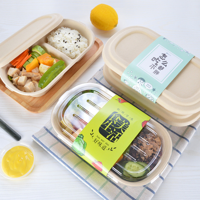 100% Biodegradable Compostable Sugarcane Fiber Bagasse Food Container