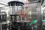 CGF Series 2000ML Plastic Bottle Filling Machine For Mineral Water Production
