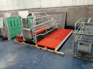 Quality Steel Pig Farrowing Crate wholesale