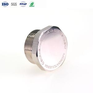 Brass Plated Bright Nickel Thread Hexagon Head Plug CNC Turning Parts cnc machining parts manufacturer