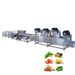 300-1000kg/h Vegetables Fruit Washing Machine 304 Stainless Steel