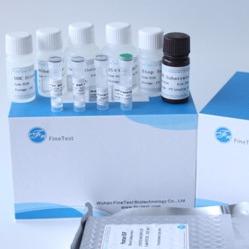 Quality Fsc Certified Elisa Kit Human Ifnw1 Interferon Omega-1 wholesale