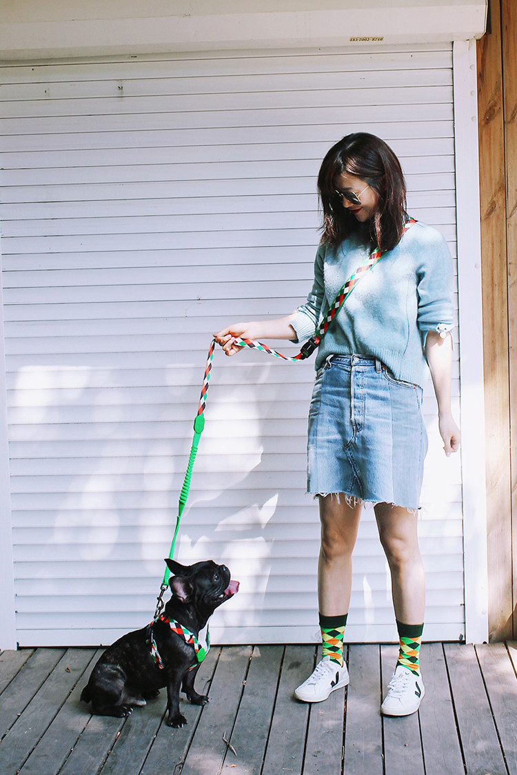 Soft Sponge Padded Neoprene Handle Dog Leash For Medium And Large Dogs