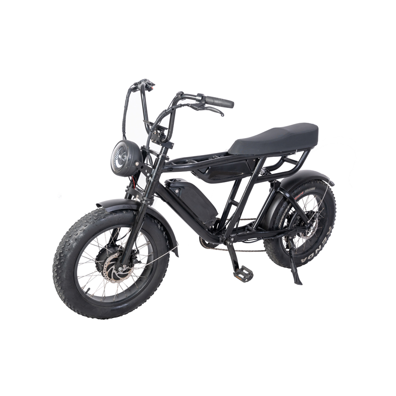 Retro Ebike Cruiser Dual Battery Enduro 7 Speed 48V 1000W Electric Fat Tire Bike