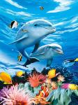 BSCI Lenticular 3D Pictures For Hotel Decoration / 3D Animals Photos