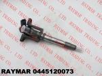 BOSCH Genuine common rail fuel injector assy 0445120073, F01G09P1H4, 107755-0230