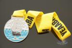 Dragon Boat And Swimming Metal Gold Award Medals For Art Gifts Customized Shape