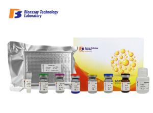 Quality Porcine PDGF ELISA Assay Kit / Customized Platelet Derived Growth Factor Sandwich ELISA Kit wholesale