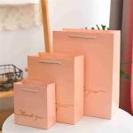 OEM 300gsm Printed Paper Gift Bags Bulk For Valentine's Day