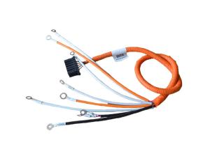 Quality ISO 22 AWG 12 Pin New Energy Vehicle Wiring Harness wholesale