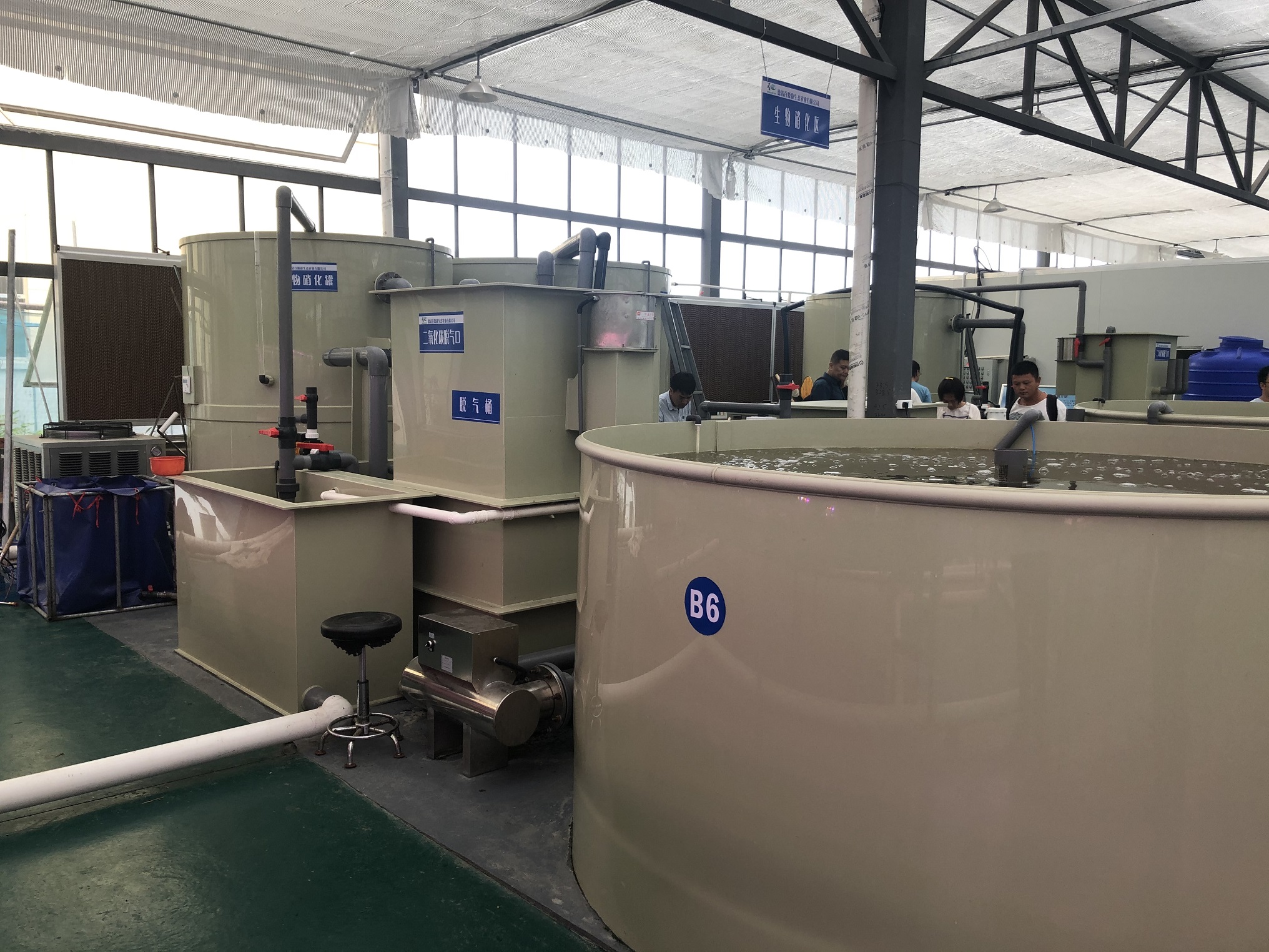 Water Filtration Aquaculture Indoor Ras Drum Filter for Fish Farming/Pond