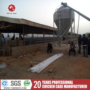 Quality Layer Poultry Equipment A Frame Layer Cages Stainless Steel wholesale