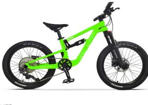 Quality Full Suspension Carbon EPS Technology MTB Mountain Childrens Bikes 20er wholesale