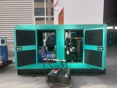 20 KW Silent Generator Set 25 KVA Low Noise 12 Months Warranty