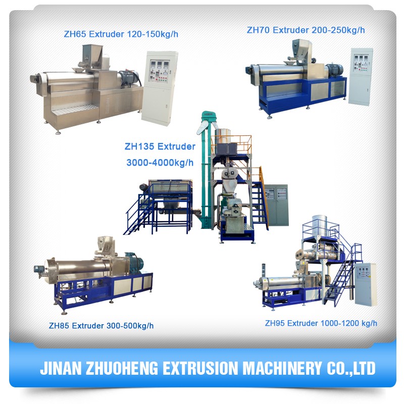 Professional Fish Feed Making Machine for All Fish Video Outgoing-Inspection Provided