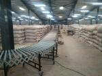 Stainless Steel Motorized Roller Conveyor