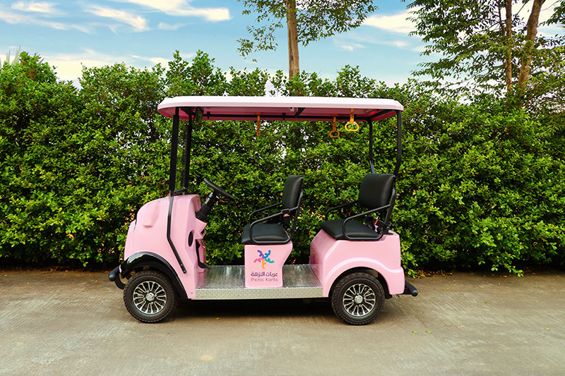 Four Wheel Electric Golf Scooter 4 Passenger With Lithium Battery