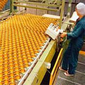 Quality belting conveyors modular belts conveyor flat top belts conveyor systems wholesale
