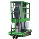 Green Double Mast Mobile Vertical Lift Platform For 9m Platform Height