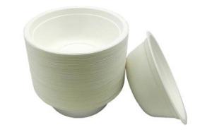 Quality White Food PLA Package Disposable food Packaging Boxes Customized wholesale