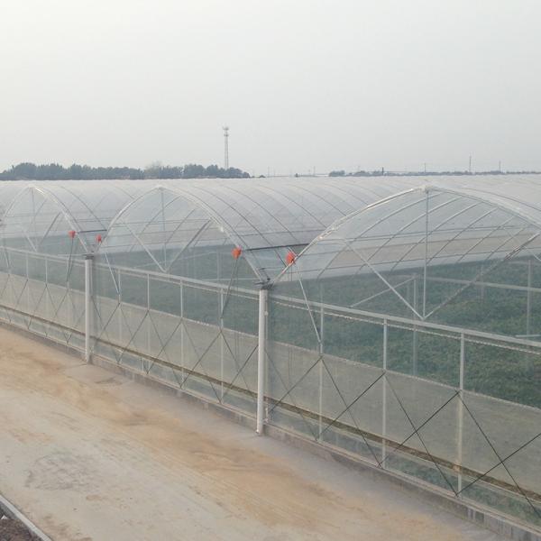 Durable Tomato Greenhouse Agriculture Plastic Film with Cooling and Heating