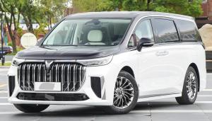 Quality Electric MPV VOYAH Dreamer 2022 Low Carbon Version Think Intelligent Driving wholesale